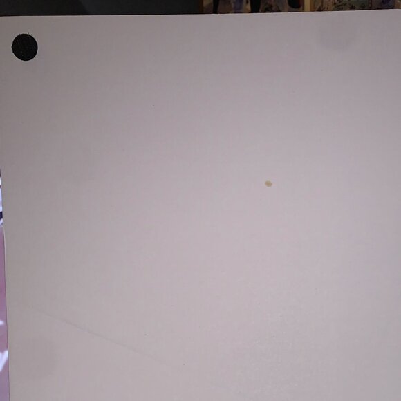 PRINCE TRIPTYCH MOUNTED ON FOAM CORE no thumb tack - Picture 5 of 8